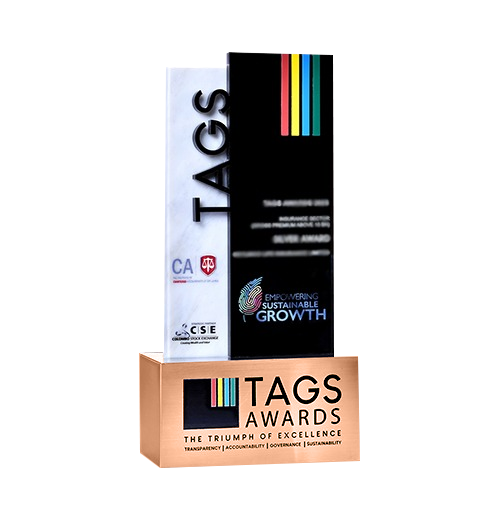 TAGS Awards 2023 Digital Transformative Reporting Category - Bronze Winner